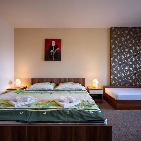 Pensjonat Zivka Závažná Poruba