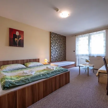 Zivka Penzion